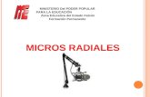 Micro RadialES AENC