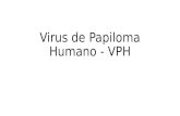Virus de Papiloma Humano - VPH