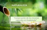 conservacion de los recursos naturales