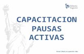 CAPACTITACION PAUSAS ACTIVAS