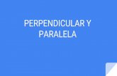 Tomo V Vol. 1 Lineas Paralelas y perpendiculares