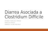 Diarrea asociada a Clostridium D.