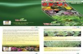 Catalogo de Plantas Ornamentales