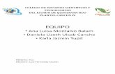 COLEGIO DE ESTUDIOS CIENTIFICOS Y TECNOLOGICOS.pdf