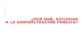 Administracion Publica-Peru