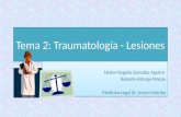 Tema 2 Traumatologia Lesiones
