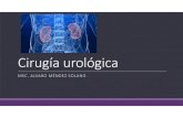 Cirugía Urológica Ulatina (1)