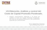 Analisis y Control Del Costo de Capital Promedio Ponderado.y Capm