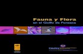 Flora Fauna Golfo Fonseca