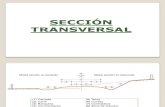 Seccion Transversal