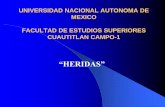 SEMINARIO-HERIDAS (1).pdf