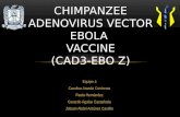 Chimpanzee Adenovirus Vector Ebola