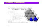 PI -DEFICIENTES QUINOLINA ISOQUINOLINAH05-06-3.pdf