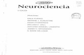 Neurociencia III Edicion