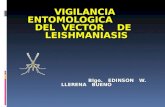 vigilancia vectorial lutzomyia RSH Mayo-14.ppt