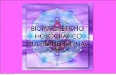 biomagnetismo holografico.pdf