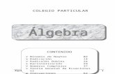 5 Algebra 5to - II