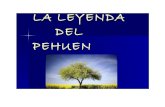 Leyenda Del Pehuen