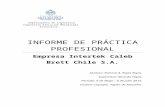Informe de Práctica en Intertek - Patricio Rojas