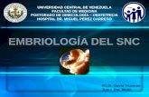 2014-Embriología Del SNC-Dr David Truzman