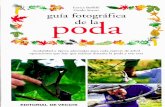 guia fotografica de la poda jardin, botanica, plantas, arboles(3).pdf