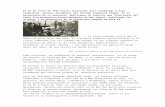 El 15 de Enero de 1919 Fueron Asesinados Rosa Luxemburgo y Karl Liebknecht