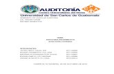 Auditoria Informatica y Auditoria Forense_Final.pdf