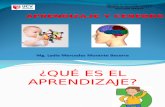 Tema 2 Aprendizaje y Cerebro