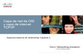 Capa de Red de OSI y Caa de Internet TCPIP
