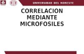 CORRELACION MEDIANTE MICROFOSILES