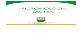 3 B. Microbiologia Lactea (1) presentacion.pdf
