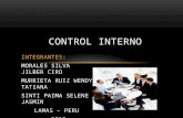 Control Interno en El Sector Publico y Privado (1)