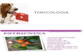 Toxicologia Warfarina y Estricnina