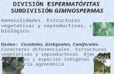 botánica  Subdivisión Gimnospermas
