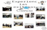 Exp Exitosas