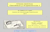 Clase Genes-experiencia I Pablo Lopez_2015 Final (1)