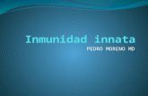 Inmunidad innata