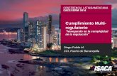 141 Cumplimiento Multiregulatorio - Diego Pulido.pdf