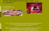 03 Microbiología de La Carne
