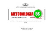METODOLOGIA 5S