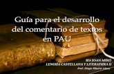 Comentario de Textos en Pau