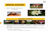 Reino Fungi y Plantae