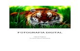 Manual de Fotografia