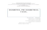 DIABETES, PIE DIABETICO Y ECV