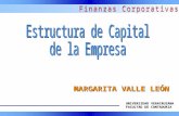 Estructura de Capital Optima