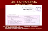 48 Respuesta Inmunit 42