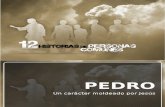 12 Historias - Pedro IV