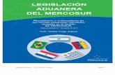 Legislación Aduanera Del MERCOSUR