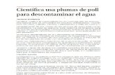 Investigadora Del Tec de Querétaro Utiliza Plumas de Pollo Para Remover Contaminantes Del Agua