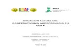 Documento Situación Actual Del Cooperativismo Agropecuario en Chile 2012